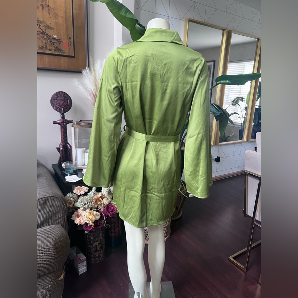 SHIRT DRESS W/ TIE - Picture 3 of 5